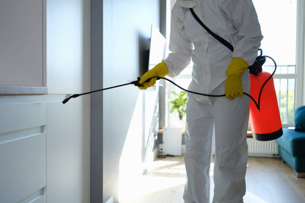 Best Mold Removal Near Me  in Johnson Creek, WI