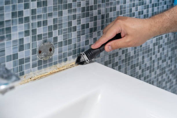 Best Home Mold Removal  in Johnson Creek, WI