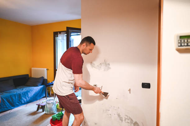 Best Mold Cleaning Services  in Johnson Creek, WI